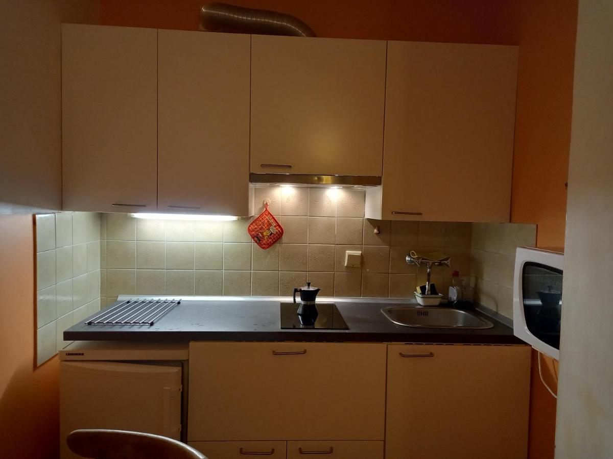 Panoramis Apartment In Schladming Bagian luar foto