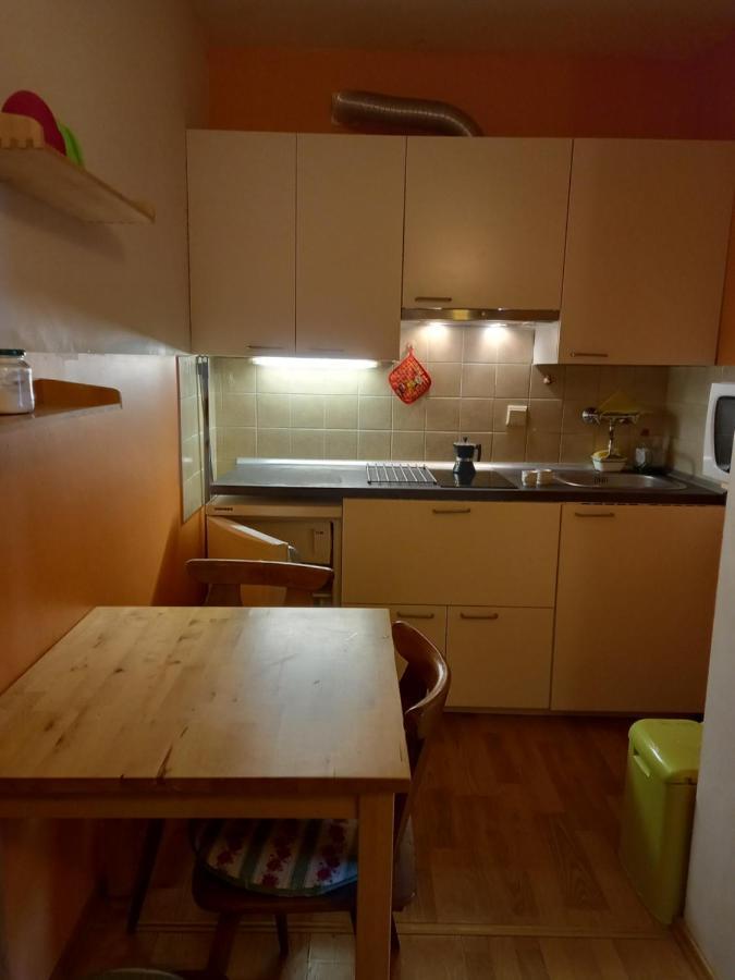 Panoramis Apartment In Schladming Bagian luar foto